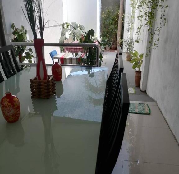 פנסיון Grin Mcfly International Beachfront Guest House