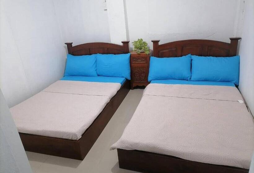 פנסיון Grin Mcfly International Beachfront Guest House