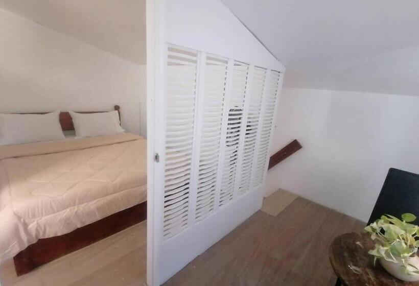 פנסיון Grin Mcfly International Beachfront Guest House