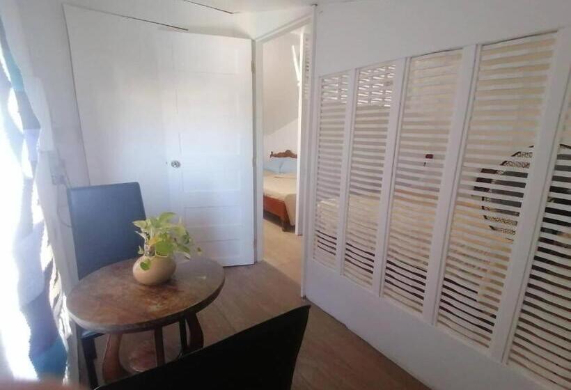 פנסיון Grin Mcfly International Beachfront Guest House