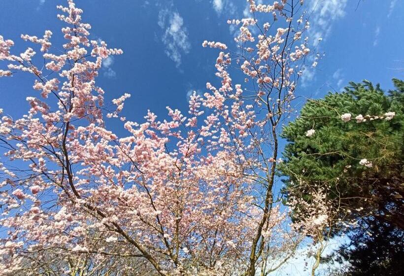 펜션 Le Cottage Des Falaises