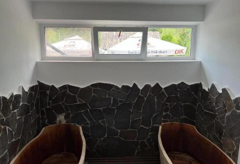 Pensiunea Mara Băile Botiza