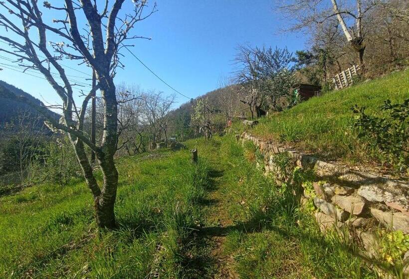 민박 Alexa Et Compagnie