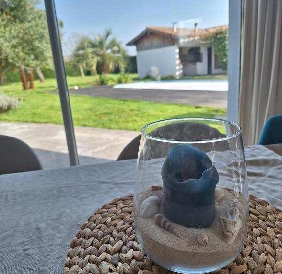 Bed and Breakfast Le Spot Landais   Chambre Côté Forêt