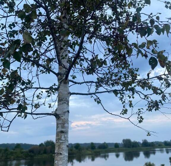 Slapen Bij De Stewardess B&b Almere