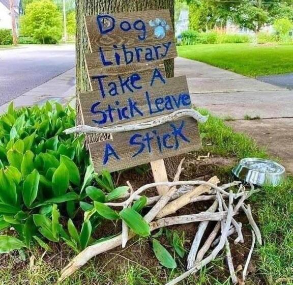 Slapen Bij De Stewardess B&b Almere