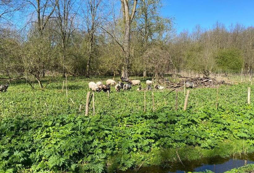 Slapen Bij De Stewardess B&b Almere