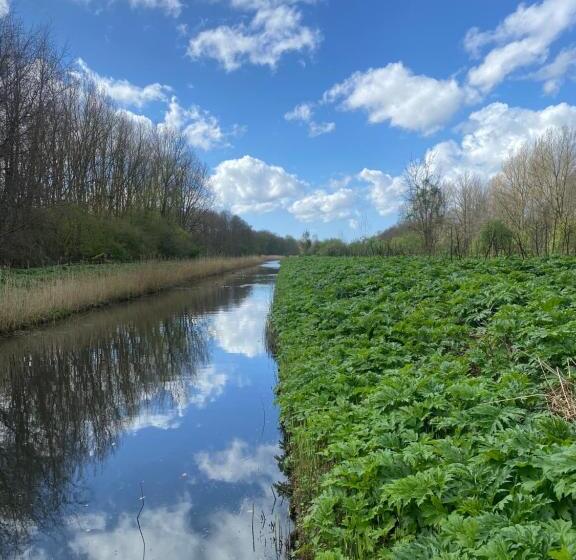 Slapen Bij De Stewardess B&b Almere