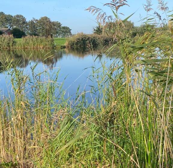 Slapen Bij De Stewardess B&b Almere