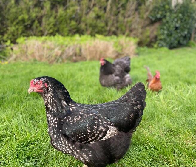 Slapen Bij De Stewardess B&b Almere