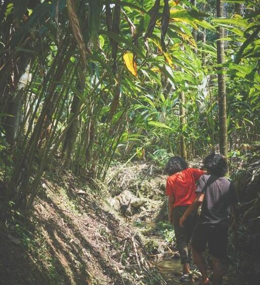 ホテル Brook Streak Wayanad