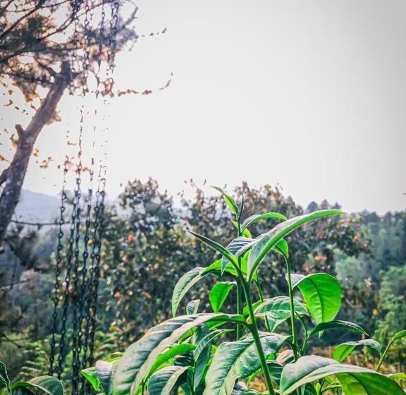 Отель Deyo Mist