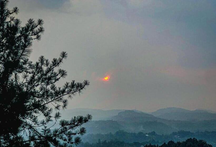 Отель Deyo Mist