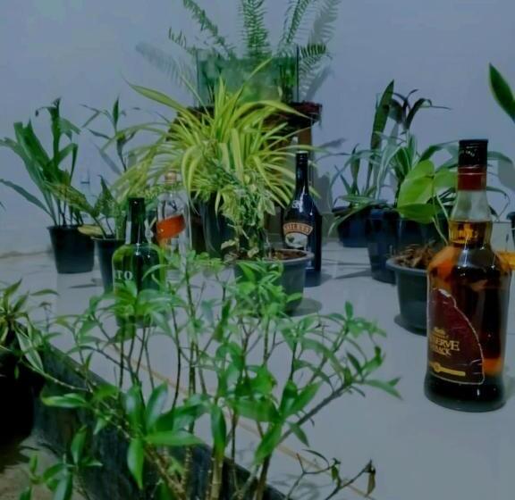 호텔 Eco Green Villa