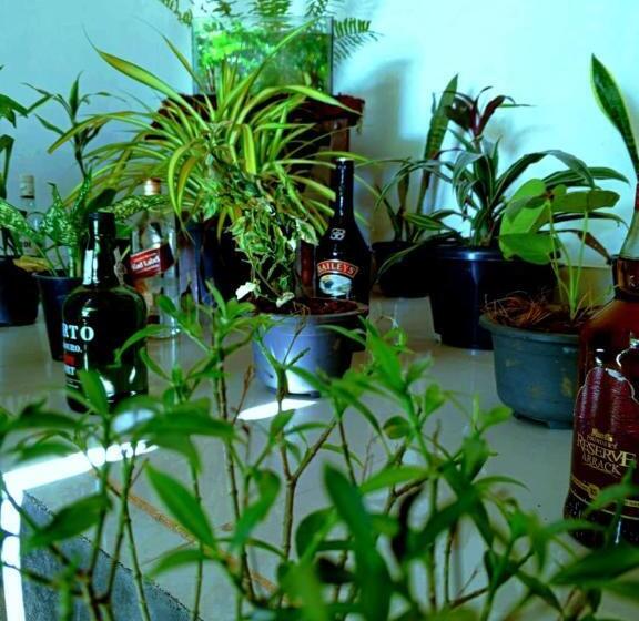 호텔 Eco Green Villa