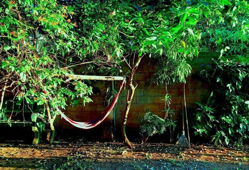 호텔 Eco Green Villa