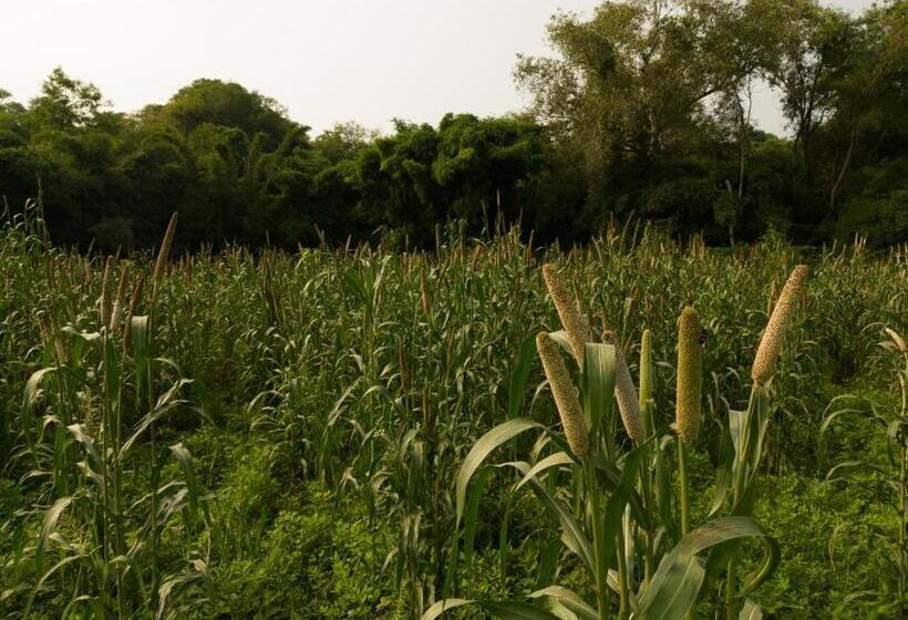 호텔 Jaadooghar Stays, Earth Friendly Stay, Chandigarh