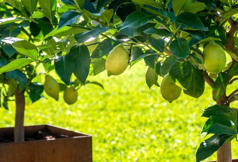 בית מלון כפרי Langenmantel Historic Suites