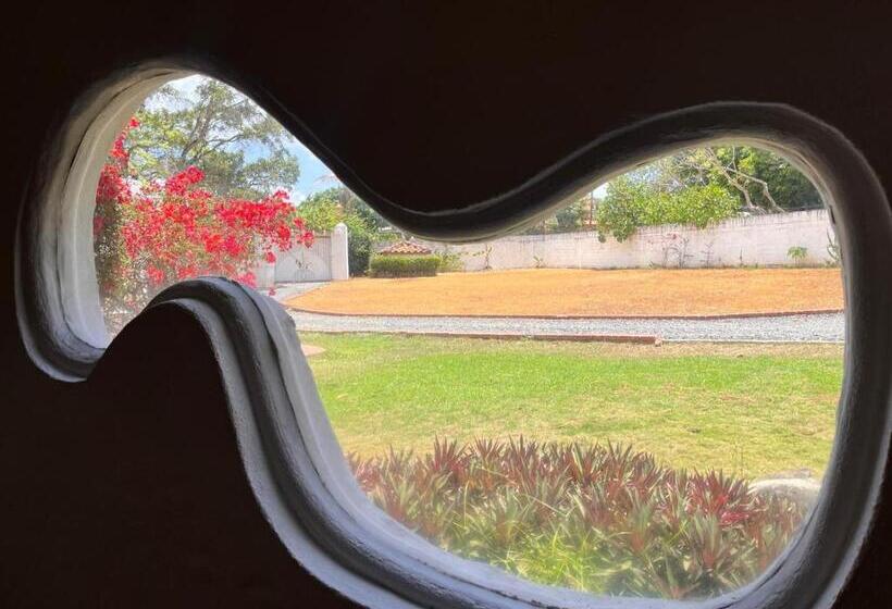 فندق Mia Nueva Gorgona