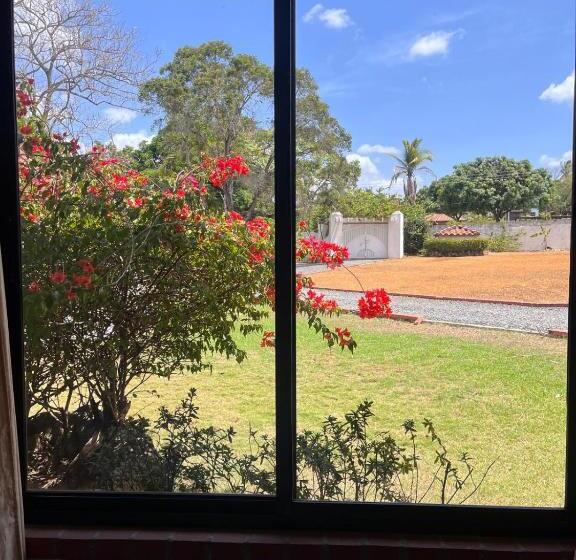 فندق Mia Nueva Gorgona