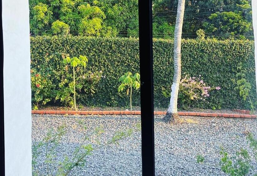 בית מלון כפרי Mia Nueva Gorgona