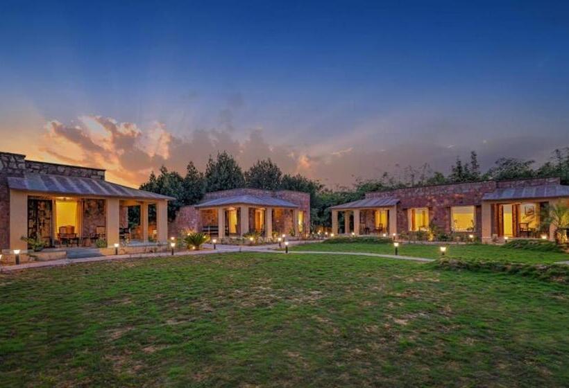 فندق Ranthambore Safari Booking