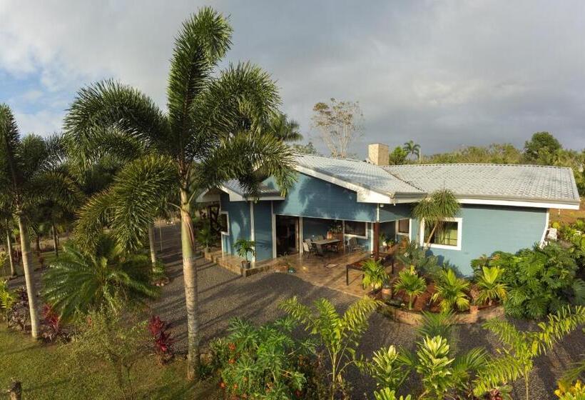 فندق Root Wellness Arenal