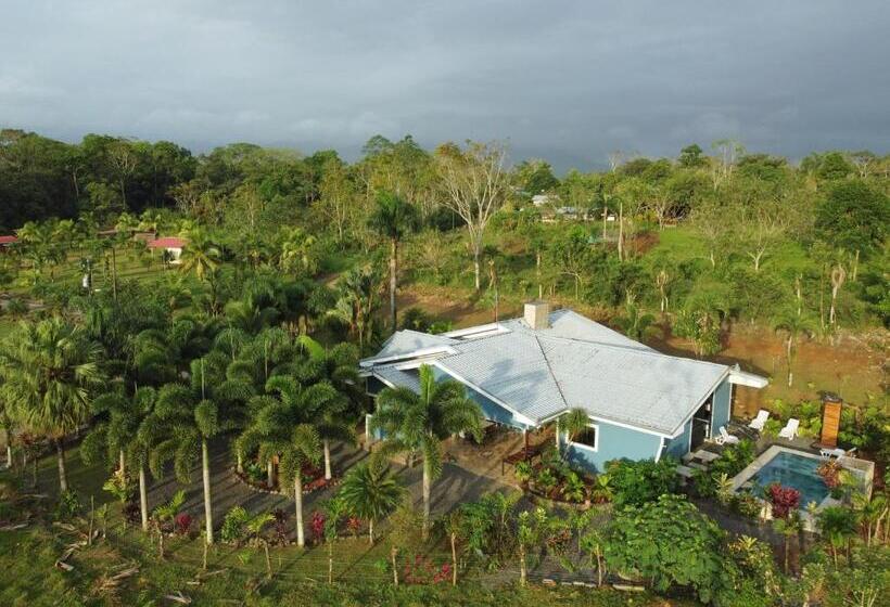 فندق Root Wellness Arenal