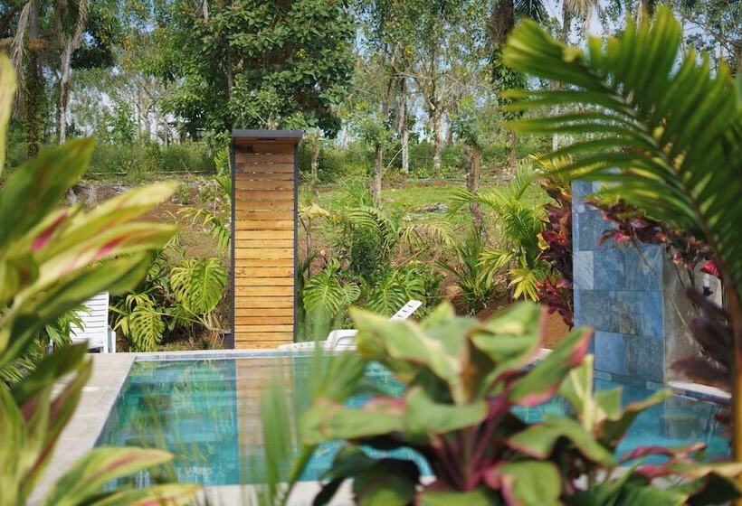 فندق Root Wellness Arenal