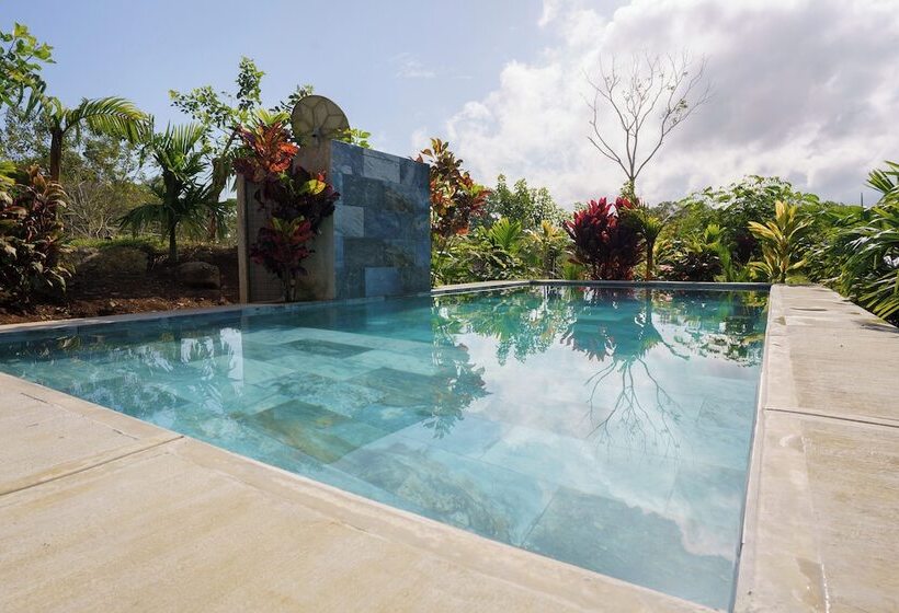 فندق Root Wellness Arenal