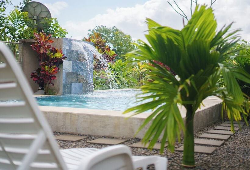 فندق Root Wellness Arenal