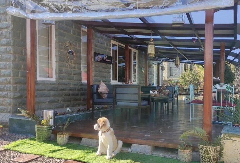 فندق The Dancing Deer