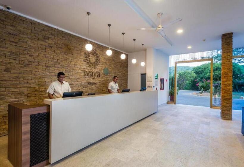 Отель Waya Gajira Standard Colombia