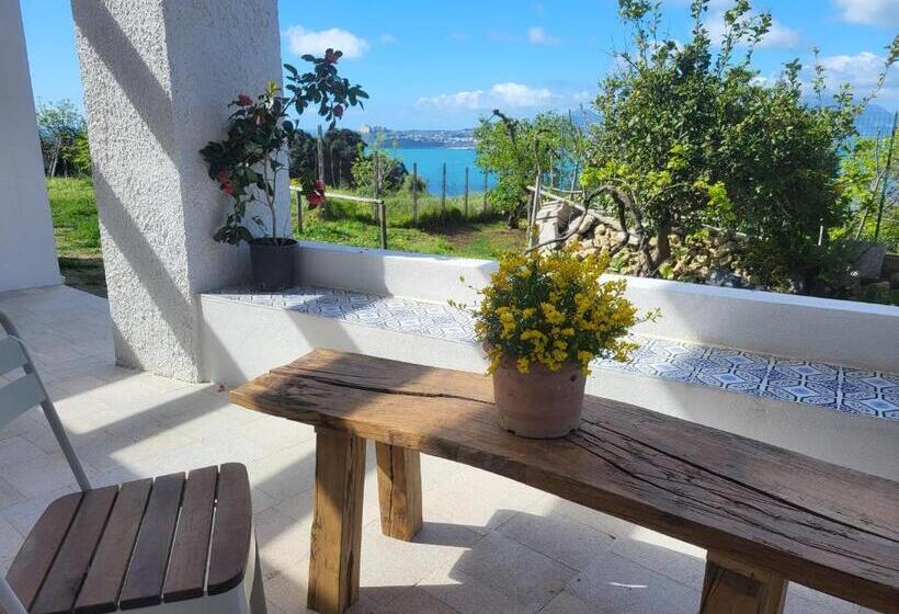 פנסיון Il Panorama Di Ercole