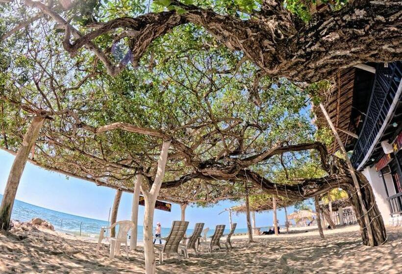 膳宿费 Cabaña La Gloria