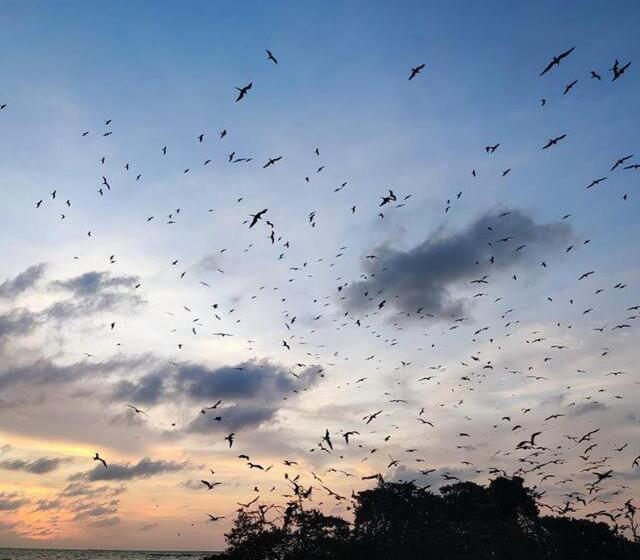 膳宿费 Cabaña La Gloria