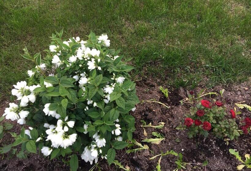 ペンション Comfortable Suite For Guests To Use Independently