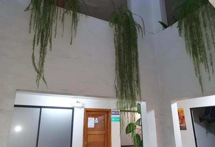 膳宿费 Hospedaje Fenix