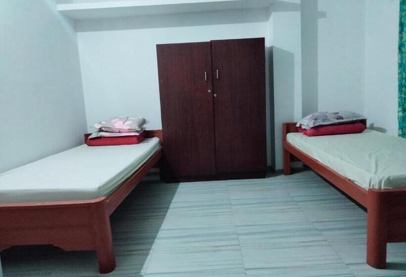 پانسیون Moa S Nest