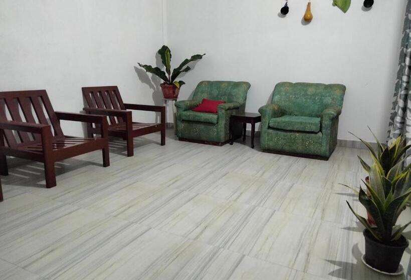 پانسیون Moa S Nest