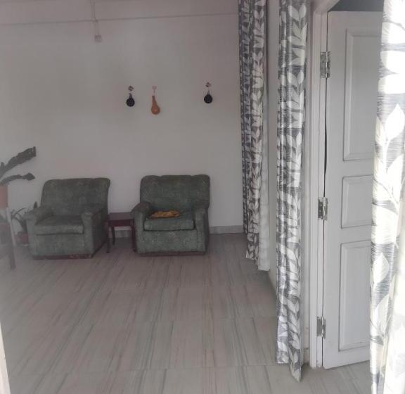 پانسیون Moa S Nest