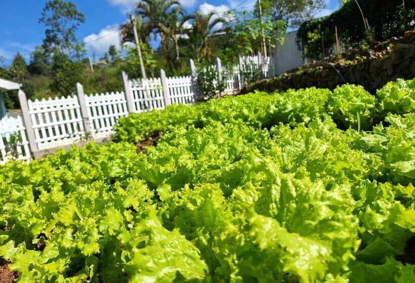 ペンション Ouna Bungalow