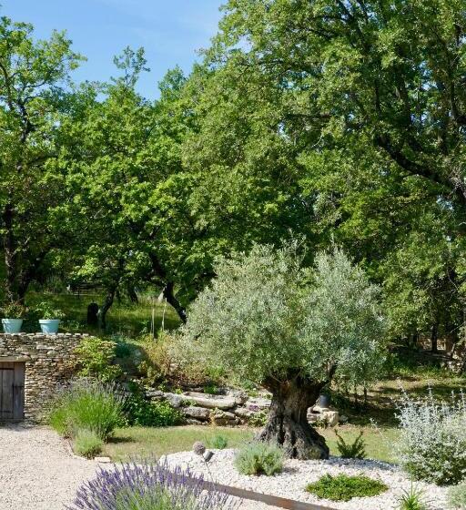 ペンション Pierres Blanches