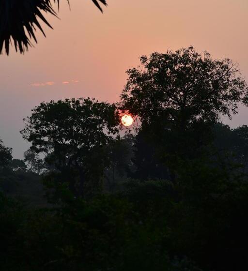 Пансион Rusara Villa