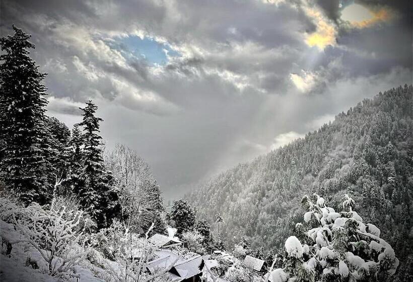 ペンション Trishalyaa Ecostays