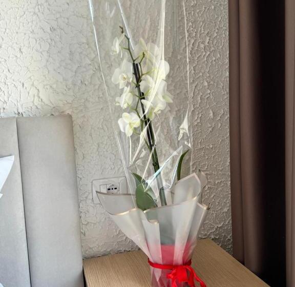 פנסיון Vila Bleta