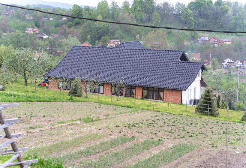 Pensiunea Club Dioda