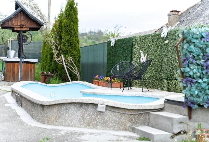 Pensiunea Club Dioda