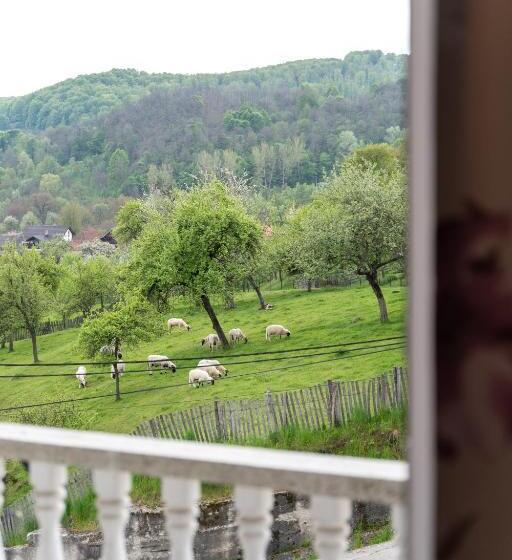 Pensiunea Club Dioda