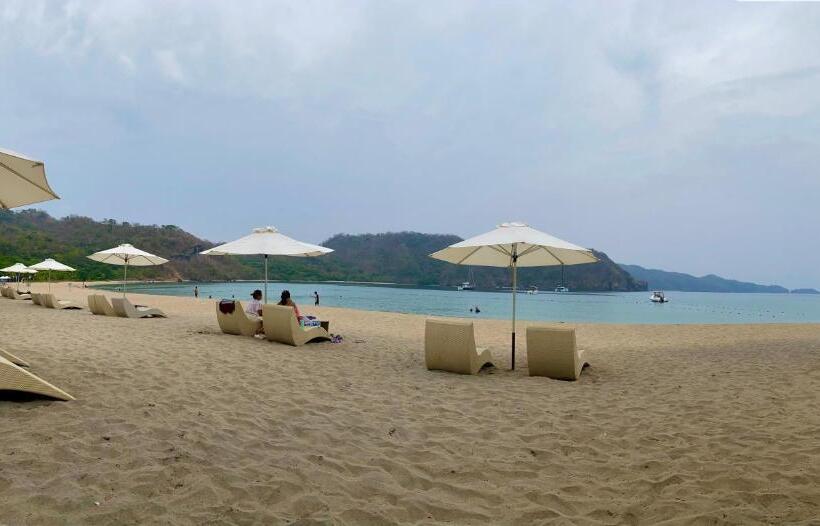 Pico De Loro Room Jacana A Bldg